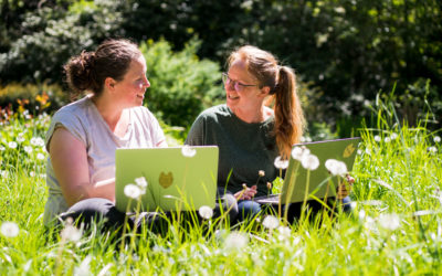 Ortsunabhängig arbeiten bei Wildling Shoes